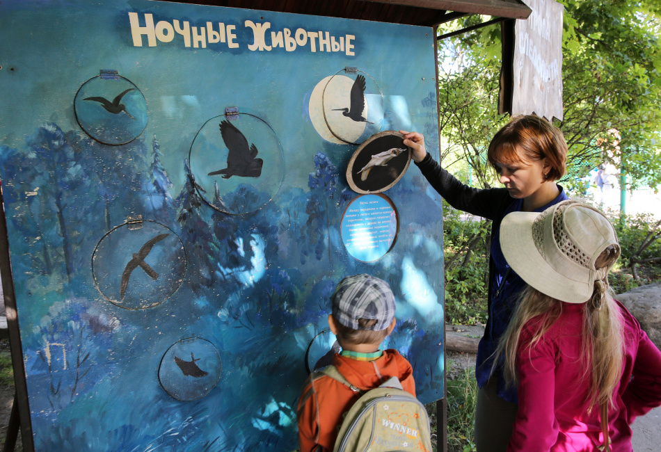 Редкая птица из зоопарка замечена у метро Чкаловская в Петербурге